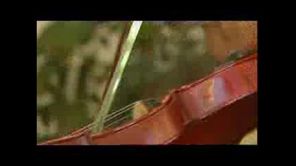 Cesaria Evora - Belga