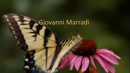 Giovanni Marradi - Vanessa's Dance