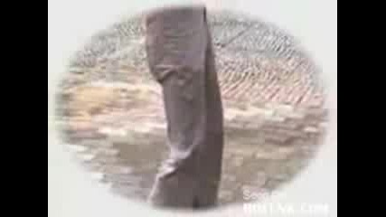 Изомително вид кучета !!! Културни ; ) 