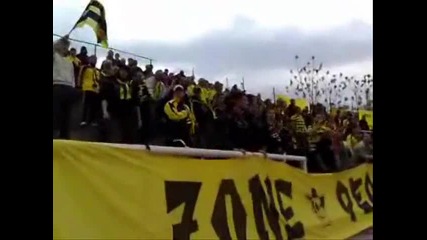 Minyor pernik velikani