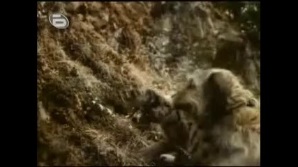 Бенджи част 5 bg audio
