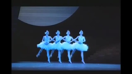 Swan lake Paris Opera 14