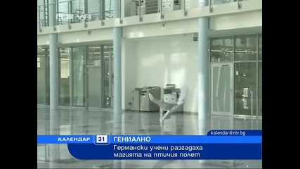 Учени създадоха първата изкуствена птица