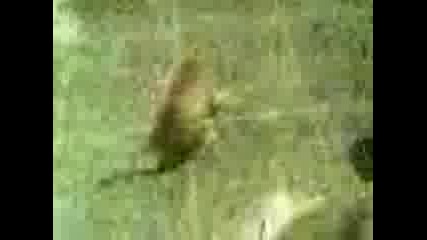 Moito Kote Izdivq (2 - Ra Chast) ;p