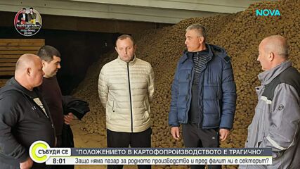 Производители на картофи се оплакват от тежка година