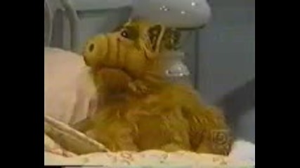 Много смешен момент от Алф 