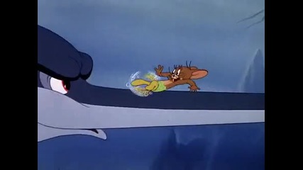 Tom & Jerry - The Cat and The Mermouse