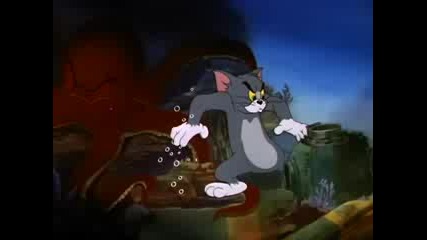 Tom & Jerry - The Cat And The Mermouse