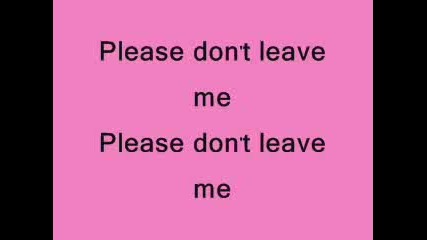 Pink - Please don`t leave me lyrics