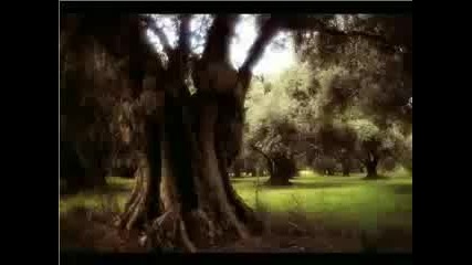 Jelentes - Aprily Lajos