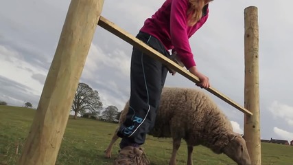 Момиче дресира овца да прескача препятствия .. Вижте!