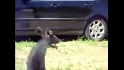 разби ги
