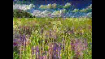 The Love Willows - A Day In My Life