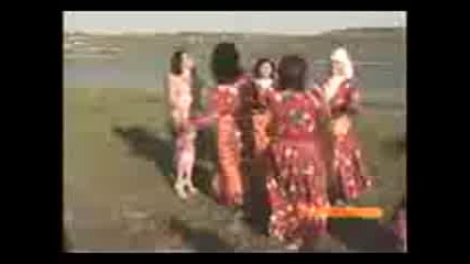 video (1)