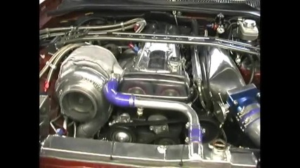 supra running hot