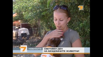 приют за бездомни кученца Tv7 