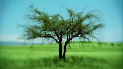 Земята - това трябва да се види