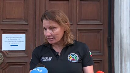 София след бурята с градушка: Паднали дървета и клони, запушени шахти и частични завирявания