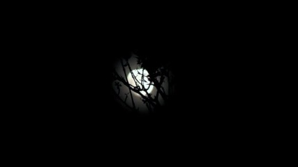 Trio Soprano Music - Hijo de la Luna
