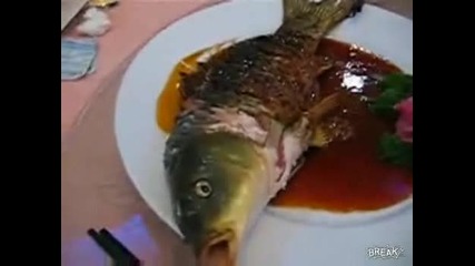 Японски Ресторант Сервира Жива Риба 