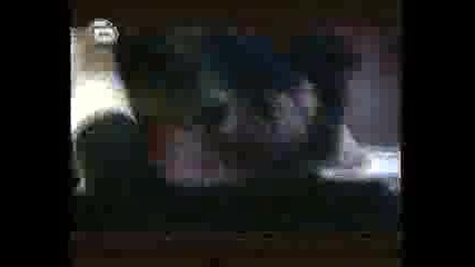 Preslava - Novata Ti (live)