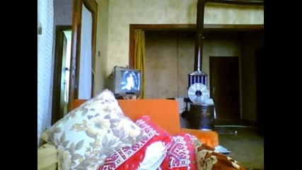 denis_16_16_1
