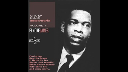 Elmore James - Stranger Blues