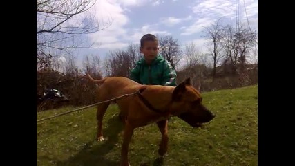 ku4e vla4e reis
