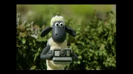 Shaun The Sheep - Scrumping
