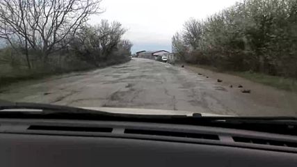 Пътищата на европейска България
