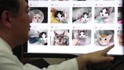 В Япония лекуват котки чрез изкуствен интелект (ВИДЕО)