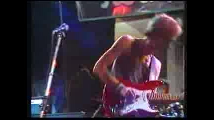 Dire Straits - In The Gallery 1979