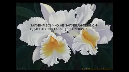 Kam sebe si 