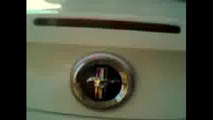 mnoo qk ford mustang