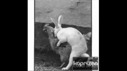 супер смешни животни! 