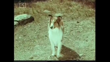 Ласи - Бг Аудио, Епизод (1965) - Lassie залавя бракониери