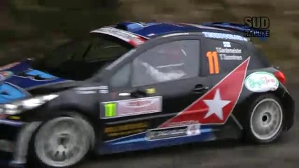 Рали Монте Карло 2011
