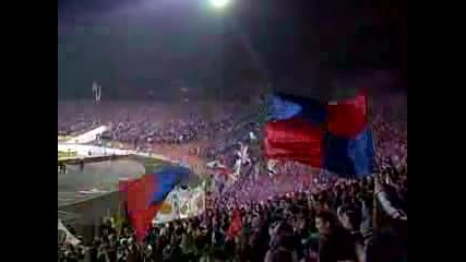 Ultras Steaua