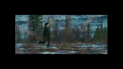 Into The Wild - Trailer