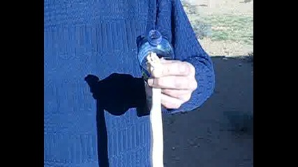 Кобра
