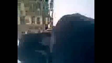 Лудите от 44 Соу, , Неофит Бозвели 2част