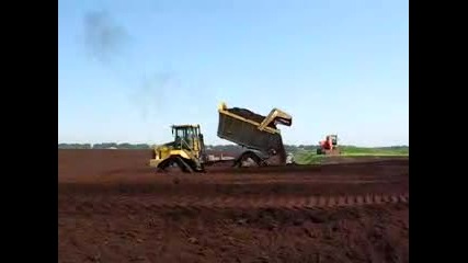 Cat Quadtrac