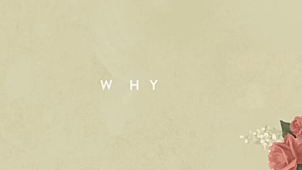 Shawn Mendes - Why ( Audio )