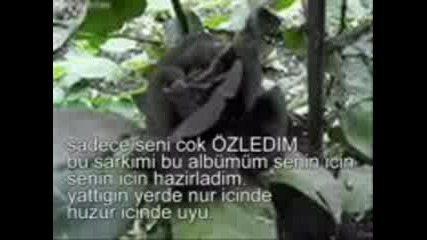 Г‡aдџlar Yeni Albгјm 2009 Babam
