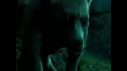 New Moon Movie Trailer (2009)