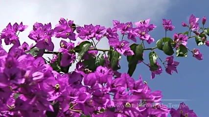Мъдри мисли за любовта- 2