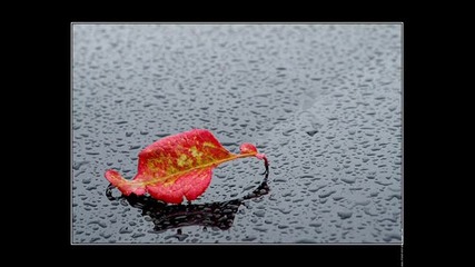 Top New House Music Mix [december 2010 Club Hits