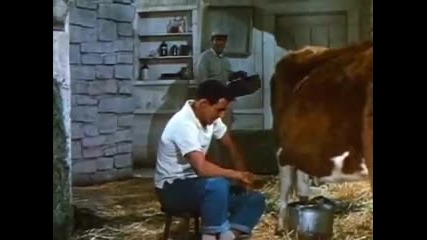 Gene Kelly - Summer Stock (1950) - 5/16 - 