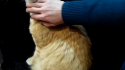 Vid_20180101_192352