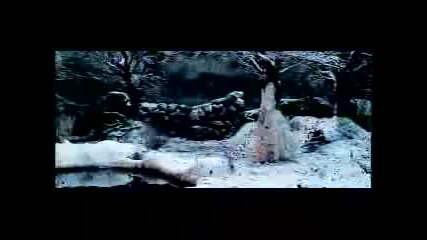 evanescence lithium